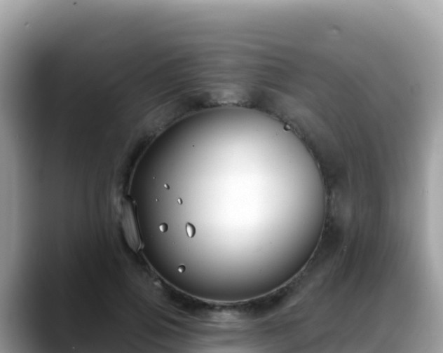 X0000088710741200706071559