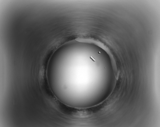 X0000088710744200706071559