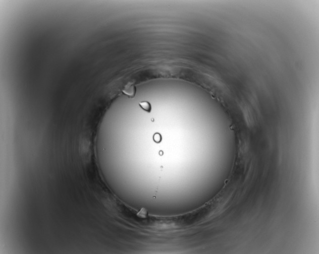 X0000088710749200706071559