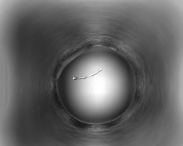 X0000088710758200706071559