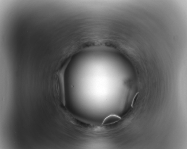 X0000088710768200706071600