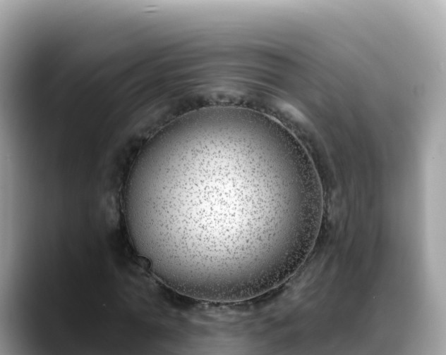 X0000088710774200706071559