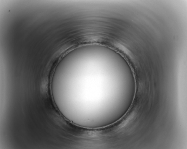 X0000088710778200706071559
