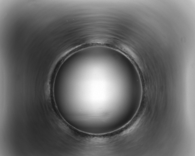 X0000088710779200706071559