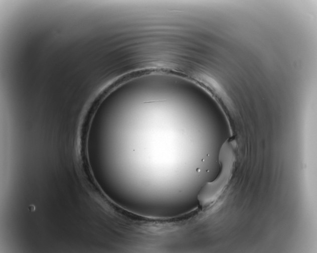 X0000088710780200706071559