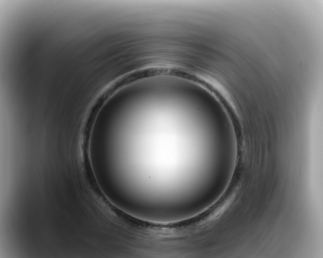 X0000088710783200706071559