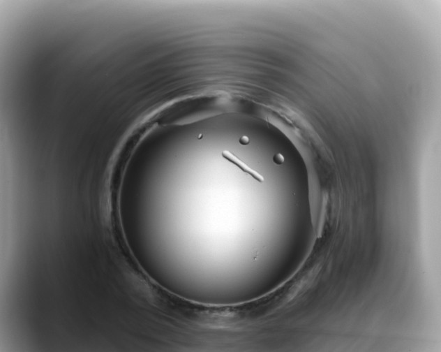 X0000088710784200706071559