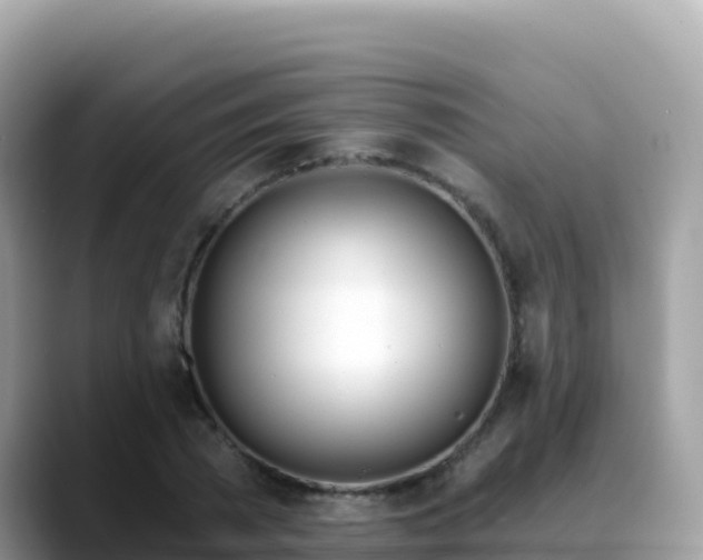 X0000088710785200706071559
