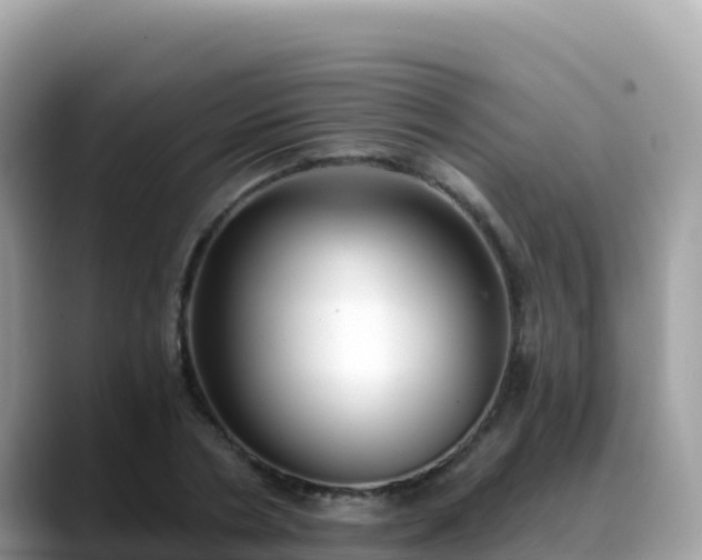 X0000088710786200706071559