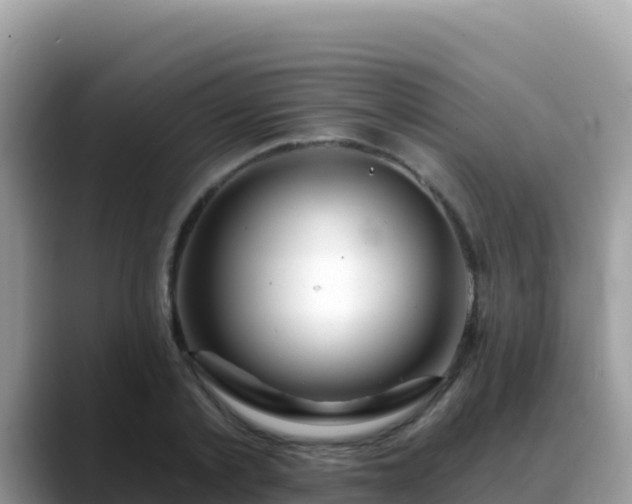 X0000088710789200706071559