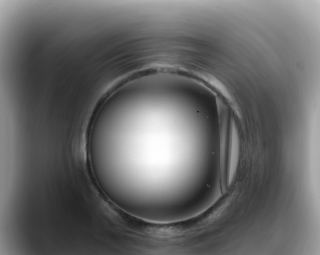 X0000088710791200706071559