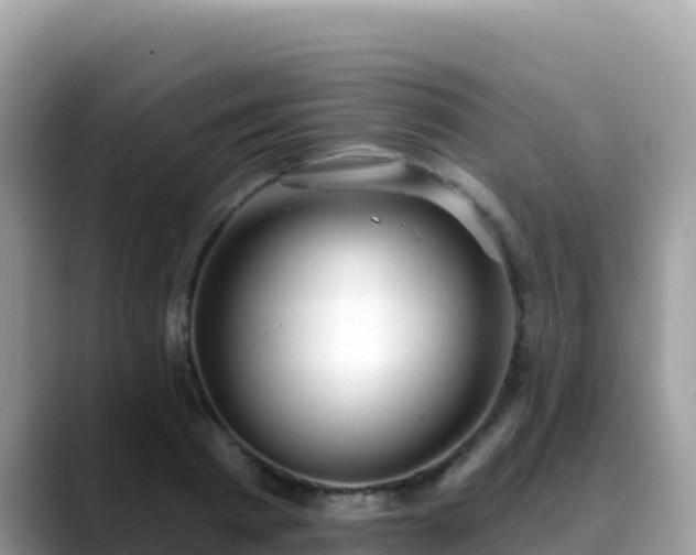 X0000088710793200706071559