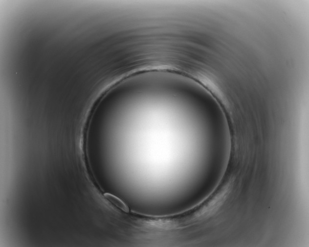 X0000088710797200706071559