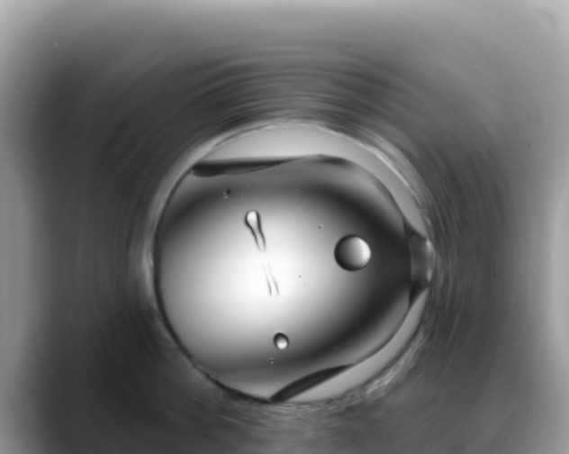 X0000088710812200706071558