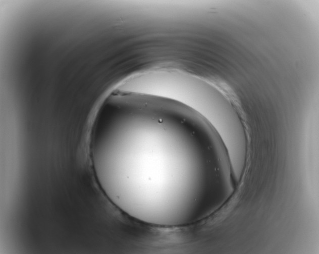 X0000088710816200706071558