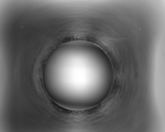 X0000088710817200706071558