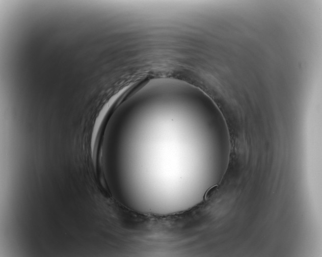 X0000088710818200706071558