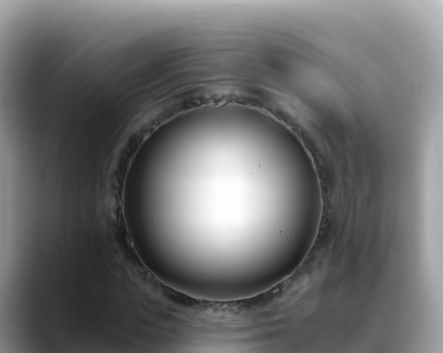 X0000088710823200706071558