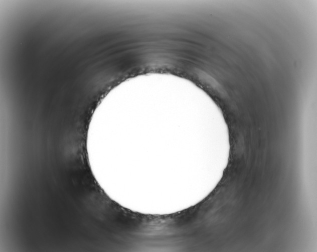 X0000088710824200706071558