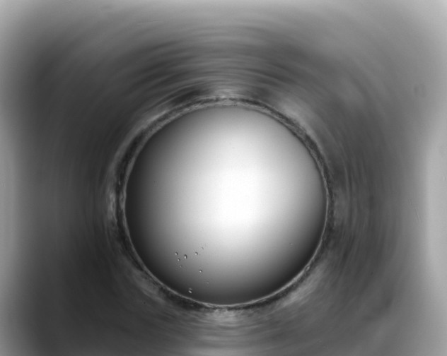 X0000088710827200706071558