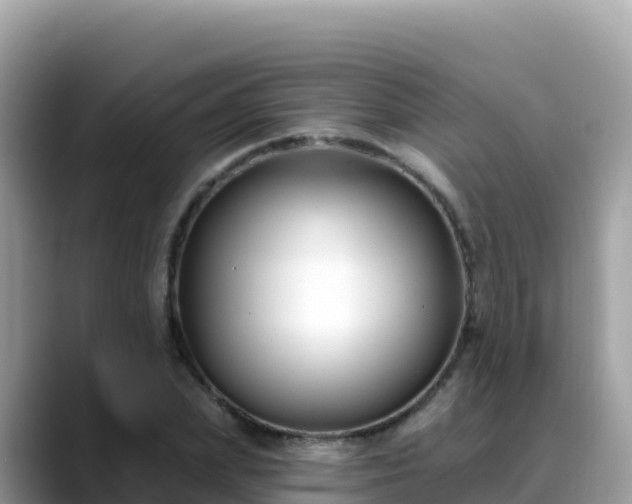 X0000088710831200706071558