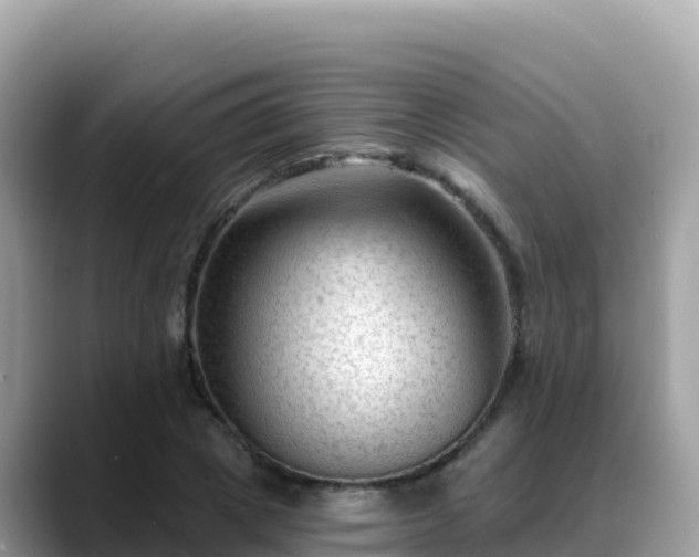 X0000088710833200706071558