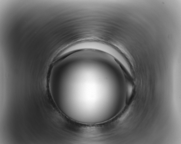 X0000088710834200706071558
