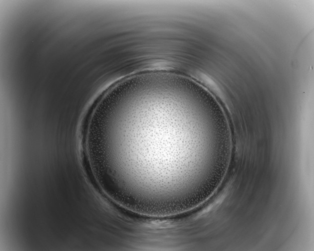 X0000088710835200706071558
