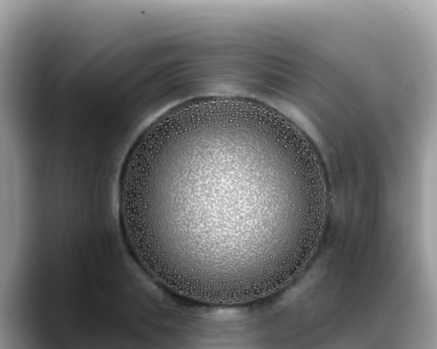 X0000088710839200706071558