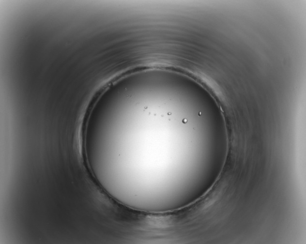 X0000088710840200706071558