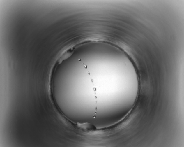 X0000088710845200706071558