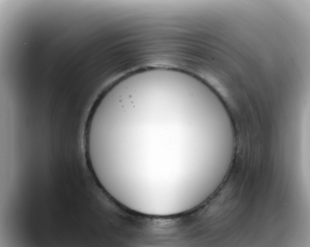 X0000088710848200706071558