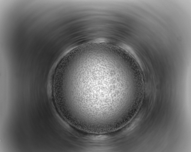 X0000088710851200706071558