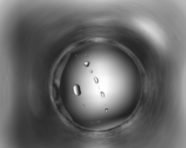 X0000088710861200706071558