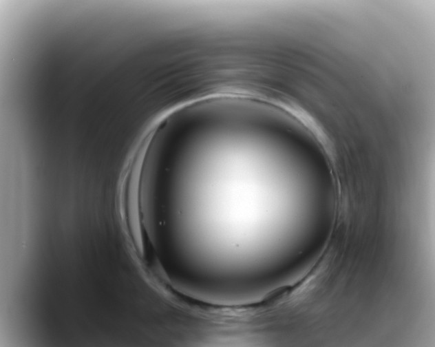 X0000088710862200706071558