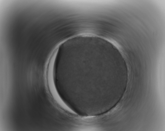 X0000088710864200706071558