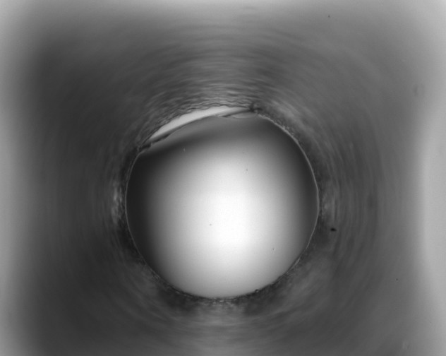 X0000088710866200706071558