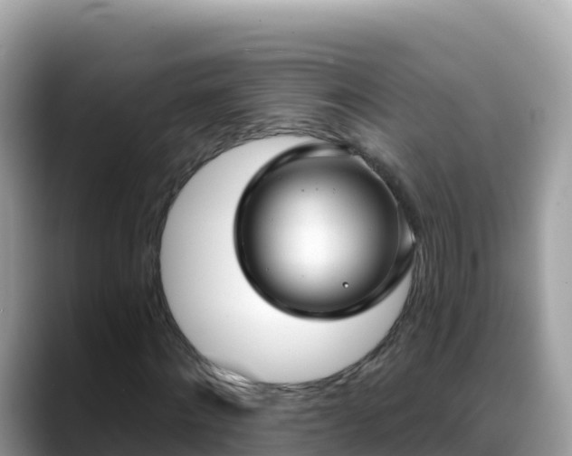 X0000088710868200706071558