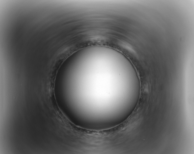 X0000088710869200706071558