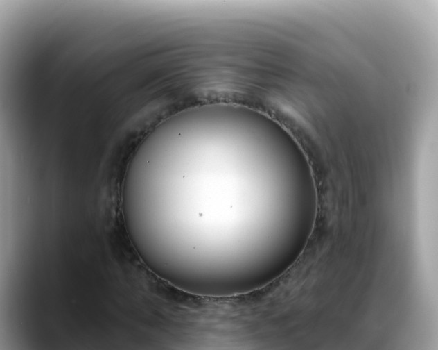 X0000088710870200706071558