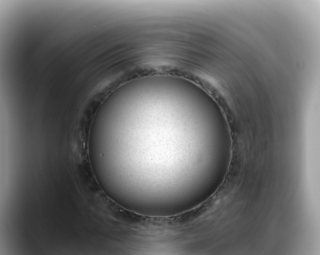 X0000088710871200706071558