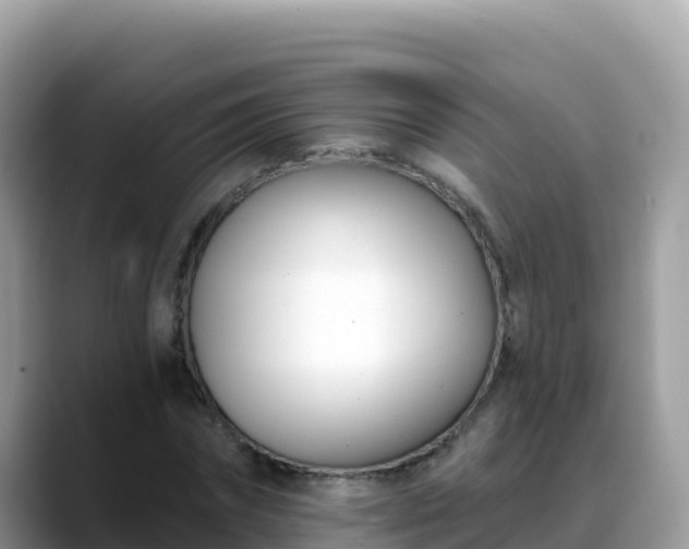 X0000088710874200706071558