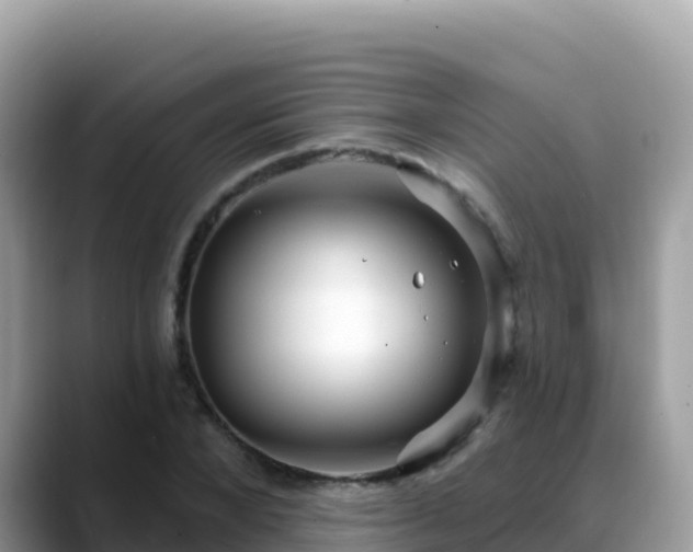 X0000088710880200706071557