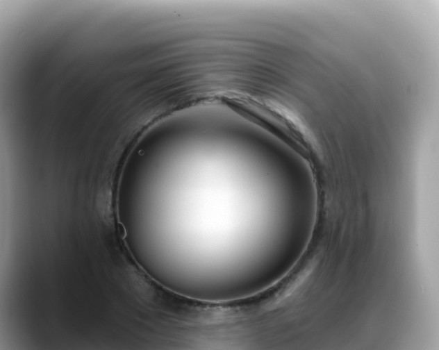 X0000088710881200706071557