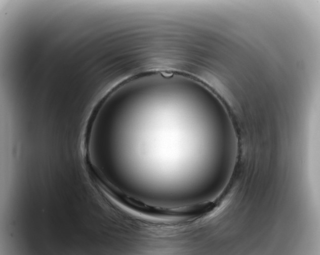 X0000088710885200706071557