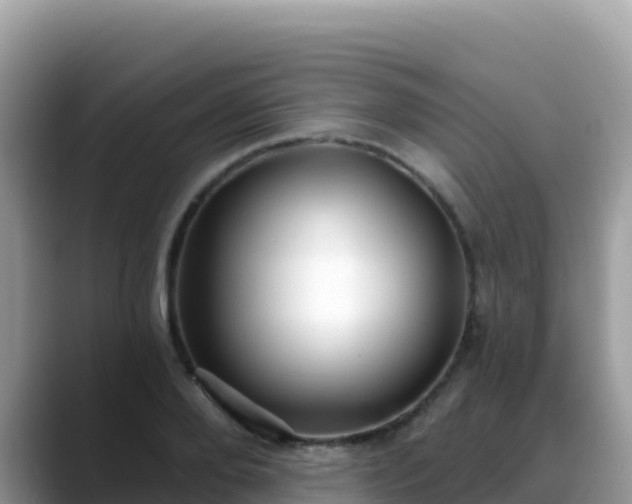 X0000088710888200706071557