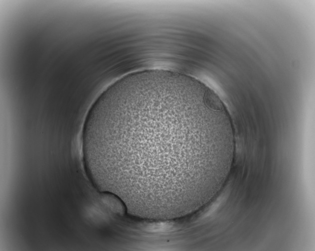 X0000088710891200706071557