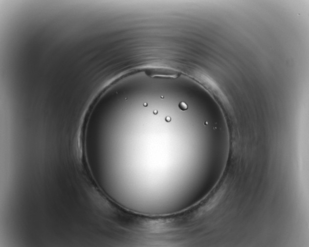 X0000088710892200706071557