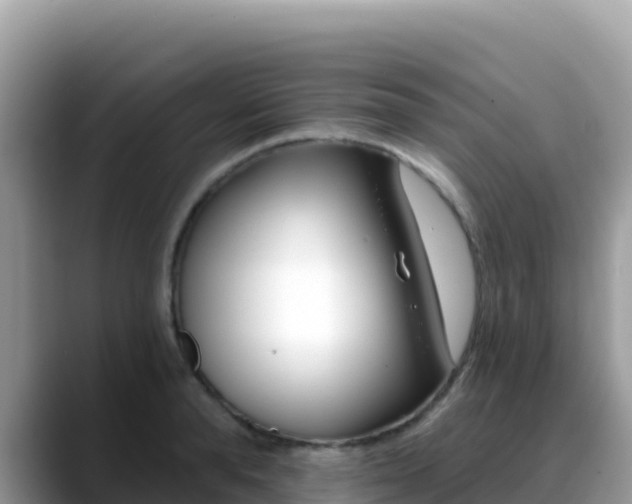 X0000088710896200706071557