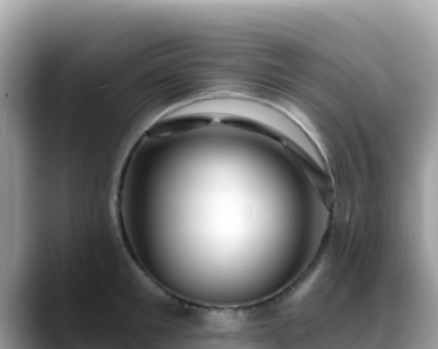 X0000088710901200706071557